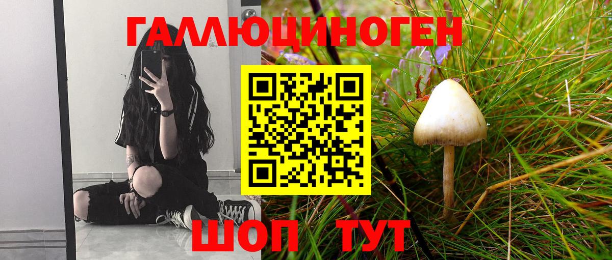 Галлюциногенные грибы Psilocybine cubensis  Вход с VPN  Жигулёвск  Галлюциногенные грибы Cubensis 