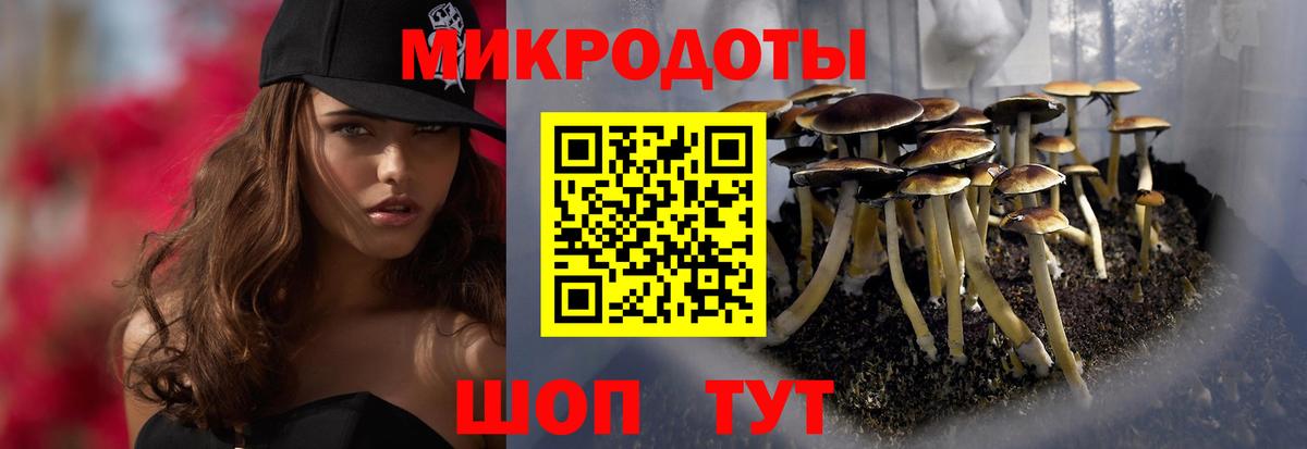 Галлюциногенные грибы Psilocybine cubensis Жигулёвск